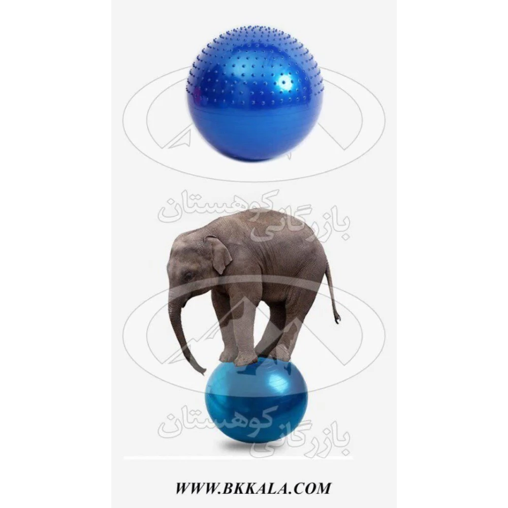 توپ جیم بال عاج دار